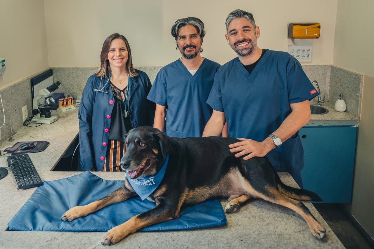 Pet Shop Perto de Mim - N+ PETCENTER Veterinário em Niterói